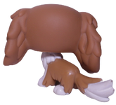 #1825 King Charles Spaniel